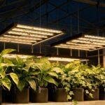 120W LED Grow Light | 2.4μmol/J Full Spectrum | App Control & Dimmable 4-Bar Lamp for 2x2ft Indoor Plants Full Cycle Growth - immagine 4